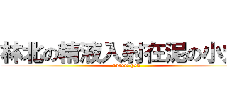 林北の精液入射在泥の小穴內 (insert you)