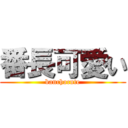 番長可愛い (banchocute)