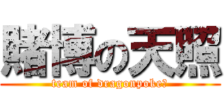 賭博の天照 (team of dragonpokeｒ)