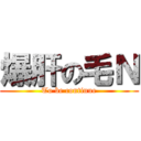 爆肝の毛Ｎ (To be continue)