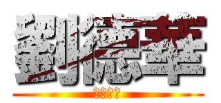 劉德華 (越老越帥)