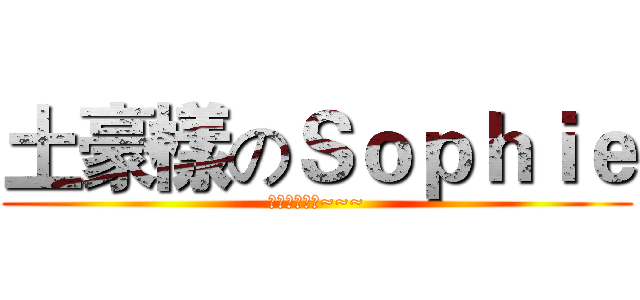 土豪樣のＳｏｐｈｉｅ (富婆富婆富婆~~~)
