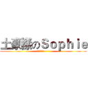 土豪樣のＳｏｐｈｉｅ (富婆富婆富婆~~~)