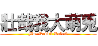 壯哉我大萌兎 (Moe Rabbit Rules!)