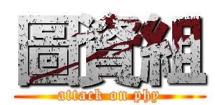 圖資組 (attack on phy)