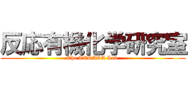 反応有機化学研究室 (The TERADA Lab.)