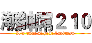 潮帥屌２１０ (It's none of your business)