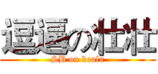 逗逼の壮壮 (SB on koala)