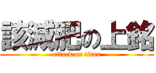 該減肥の上銘 (attack on titan)