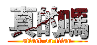 真的嗎 (attack on titan)