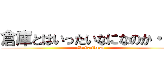 倉庫とはいったいなになのか・・・ (Mr Gentleman)