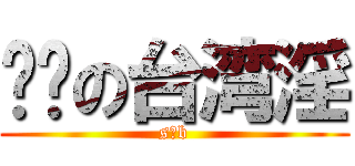 进击の台湾淫 (s b)