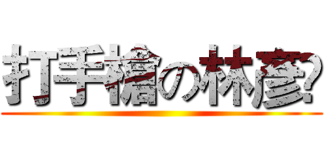 打手槍の林彥彣 ()