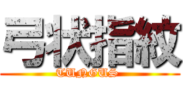 弓状指紋 (TUNGUS )