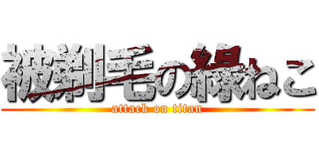 被剃毛の綠ねこ (attack on titan)