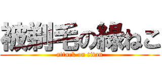 被剃毛の綠ねこ (attack on titan)