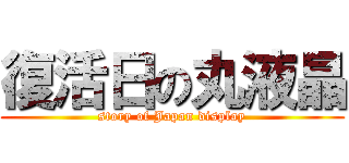 復活日の丸液晶 (story of Japan display)
