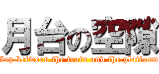 月台の空隙 (Gap between the train and the platform)