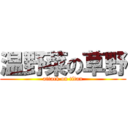 温野菜の草野 (attack on titan)