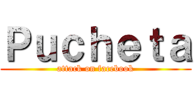 Ｐｕｃｈｅｔａ (attack on facebook)