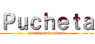 Ｐｕｃｈｅｔａ (attack on facebook)