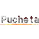 Ｐｕｃｈｅｔａ (attack on facebook)