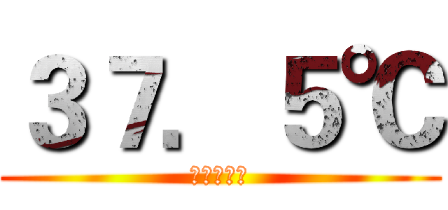 ３７．５℃ (武清美利达)