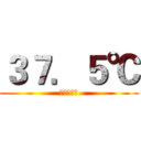 ３７．５℃ (武清美利达)