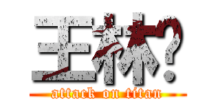 王林飞 (attack on titan)