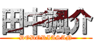 田中颯介 (DODORIASAN)