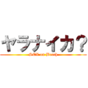 ヤラナイカ？ (SEX on Beech)