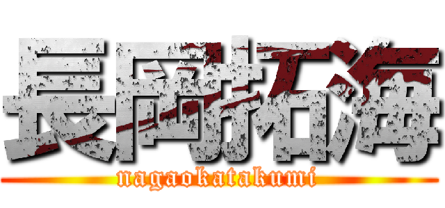 長岡拓海 (nagaokatakumi)