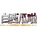 白西瓜啦 (attack on titan)