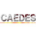 ＣＡＥＤＥＳ ()