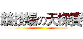 競技場の天梯賽 ()