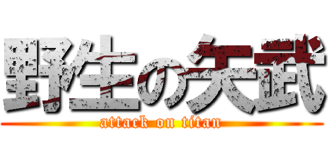 野生の矢武 (attack on titan)