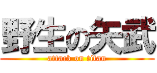 野生の矢武 (attack on titan)