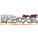 野生の矢武 (attack on titan)