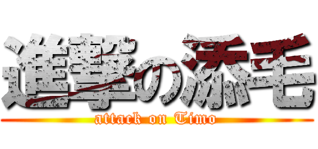 進撃の添毛 (attack on Timo)