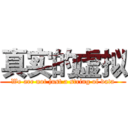 真实的虚拟 (We are not just a string of data)