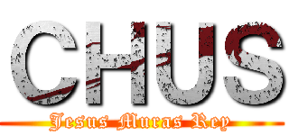 ＣＨＵＳ (Jesus Muras Rey)