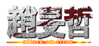 趙旻哲 (attack on titan)