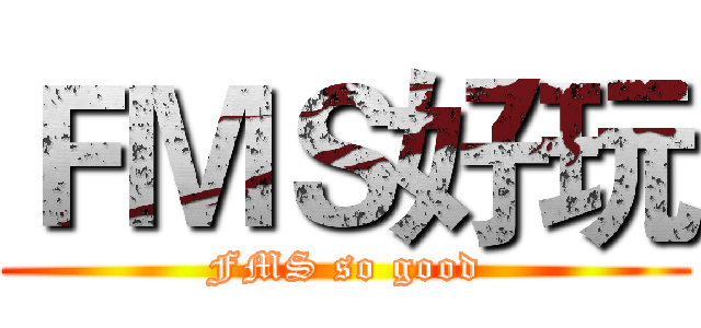 ＦＭＳ好玩 (FMS so good)