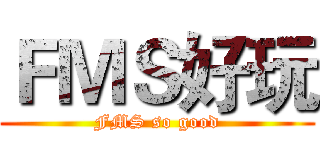 ＦＭＳ好玩 (FMS so good)