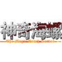 神奇海螺 (The Magic Conch Server)