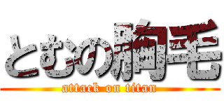 とむの胸毛 (attack on titan)