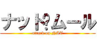 ナット·ムール (attack on NAT)