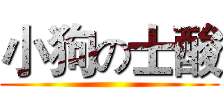 小狗の士酸 ()