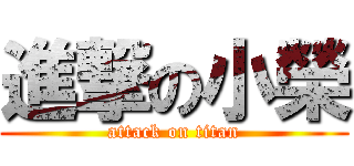 進撃の小榮 (attack on titan)