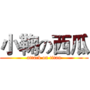 小鞠の西瓜 (attack on titan)